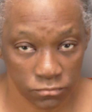 Woman Charged In Deadly Hit And Run