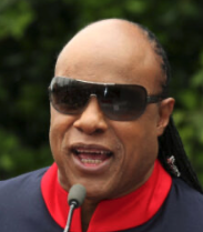 Stevie Wonder Documentary To Spotlight His Campaign For Martin Luther King Jr. Day