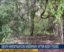 Body Of Woman Found In Wooded Area