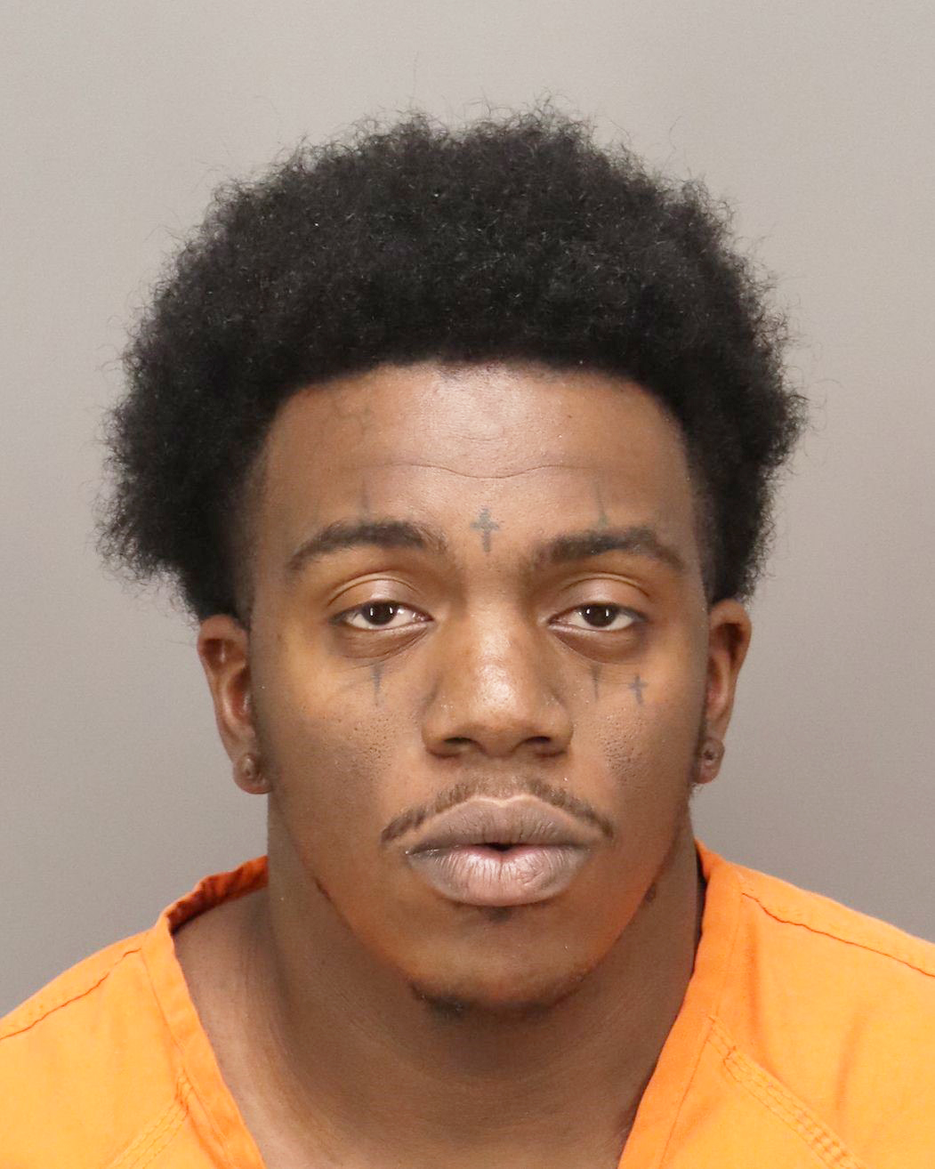 Man Facing Charges In Auto Burglary, Auto Theft Spree