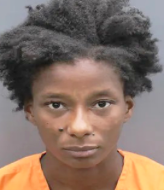 Woman Arrested Walking Dog On Interstate